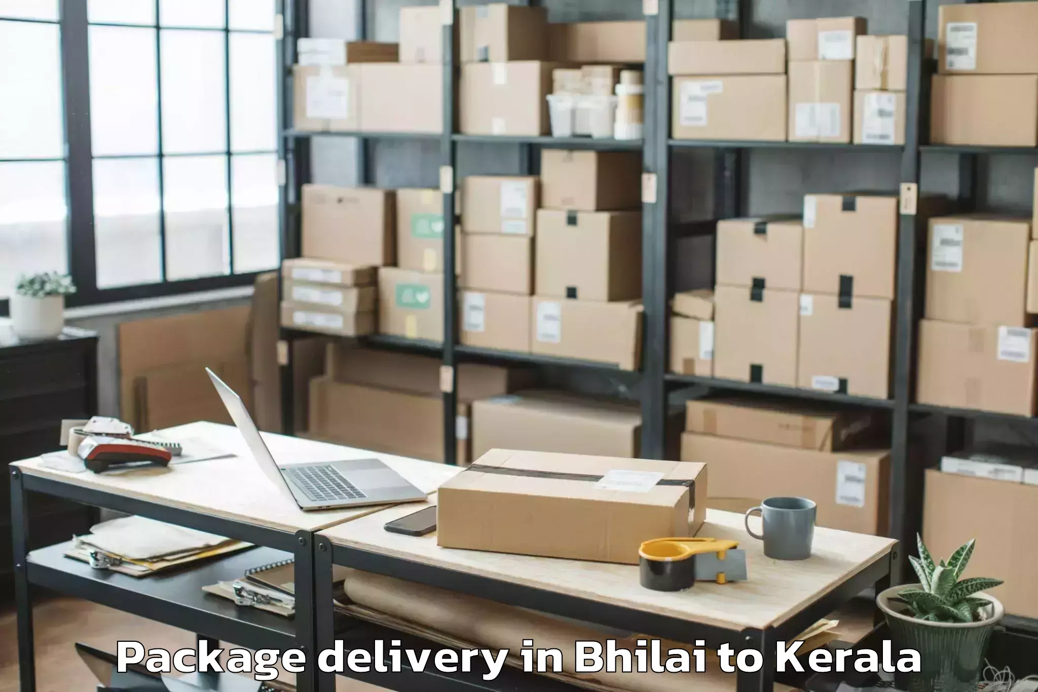 Book Your Bhilai to Thachanattukara Package Delivery Today